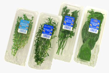 hs-bushoukai2 hs-bushoukai2